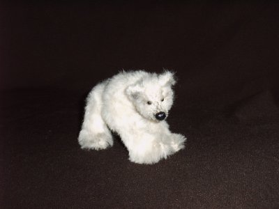 Snowy
